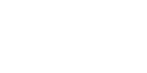 SBO
